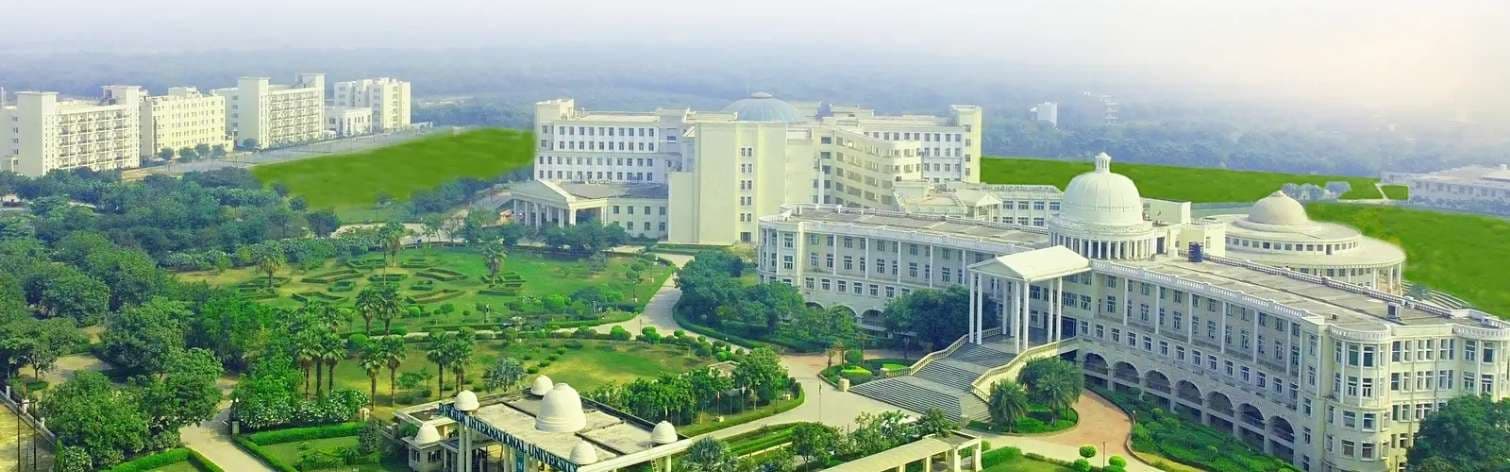 Noida International University